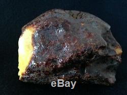 Massive 394gr. /13.9oz Raw Rough Natural Baltic Amber Stone, Butterscotch/Egg Yolk