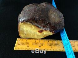 Massive 394gr. /13.9oz Raw Rough Natural Baltic Amber Stone, Butterscotch/Egg Yolk