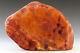 Massive ANTIQUE Butterscotch Orange Natural Genuine BALTIC AMBER Stone 194.7g
