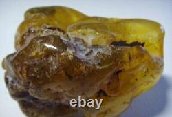 NATURAL BALTIC RAW AMBER STONE ROCK 36gr Genuine Amber Raw Stone Natural Gem