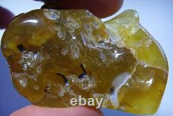 NATURAL BALTIC RAW AMBER STONE ROCK 36gr Genuine Amber Raw Stone Natural Gem