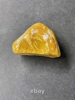 Natural 43.7gr. Butterscotch Egg Yolk Baltic Amber Stone