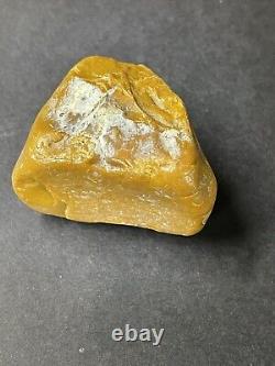 Natural 43.7gr. Butterscotch Egg Yolk Baltic Amber Stone