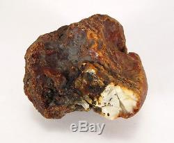 Natural AMBER Stone white rough 77 grams baltic #748 EGG YOLK BUTTERSCOTCH