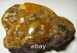 Natural Amber Stone Amber Stone Raw Large Amber Stone Natural Shape mineral