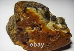 Natural Amber Stone Amber Stone Raw Large Amber Stone Natural Shape mineral