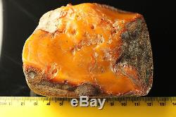 Natural Antique 182.74gr Butterscotch Egg Yolk Baltic Amber Stone N339