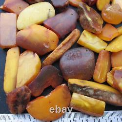 Natural Antique Genuine Baltic Amber Stones 153g