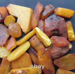 Natural Antique Genuine Baltic Amber Stones 153g