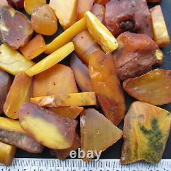 Natural Antique Genuine Baltic Amber Stones 153g