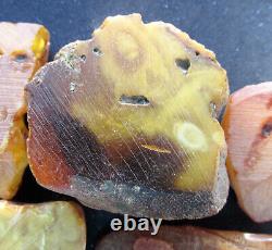 Natural Antique Genuine Baltic Amber Stones 91g