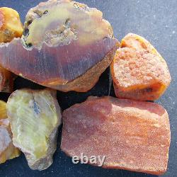 Natural Antique Genuine Baltic Amber Stones 91g