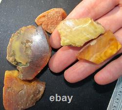 Natural Antique Genuine Baltic Amber Stones 91g