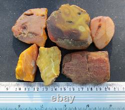 Natural Antique Genuine Baltic Amber Stones 91g