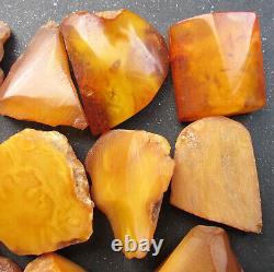 Natural Antique Genuine Butterscotch Egg Yolk Baltic Amber Stones 103g