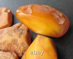 Natural Antique Genuine Butterscotch Egg Yolk Baltic Amber Stones 103g