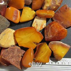 Natural Antique Genuine Butterscotch Egg Yolk Baltic Amber Stones 160g