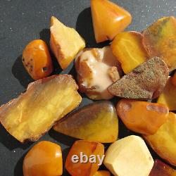 Natural Antique Genuine Butterscotch Egg Yolk Baltic Amber Stones 160g