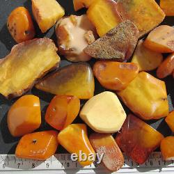 Natural Antique Genuine Butterscotch Egg Yolk Baltic Amber Stones 160g