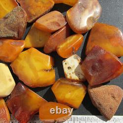 Natural Antique Genuine Butterscotch Egg Yolk Baltic Amber Stones 160g