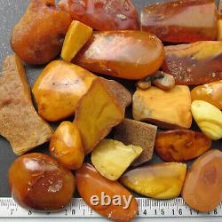 Natural Antique Genuine Butterscotch Egg Yolk Baltic Amber Stones 232g