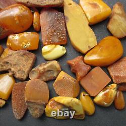 Natural Antique Genuine Butterscotch Egg Yolk Baltic Amber Stones 232g