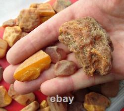 Natural Antique Genuine Butterscotch Egg Yolk Baltic Amber Stones 322g