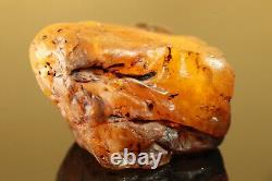 Natural BIG 119.3 gr. Butterscotch Egg Yolk Baltic SEA Amber Stone C729
