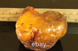Natural BIG 119.3 gr. Butterscotch Egg Yolk Baltic SEA Amber Stone C729