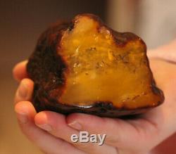 Natural BIG Antique 310 gr. Butterscotch Egg Yolk Baltic Amber Raw Stone C175