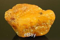 Natural BIG Antique 340 gr. Butterscotch Egg Yolk Baltic Amber Raw Stone C177