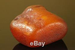 Natural BIG Antique 58.3 gr. Butterscotch Egg Yolk Baltic Amber Raw Stone C198