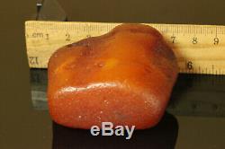 Natural BIG Antique 58.3 gr. Butterscotch Egg Yolk Baltic Amber Raw Stone C198