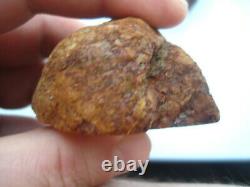 Natural Baltic 2 amber stone w 53.9 (both stones) grams