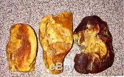 Natural Baltic 3 amber stones w (totally) 84 grams. 2 white amber stones
