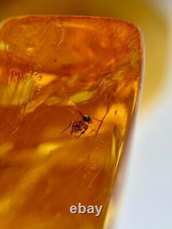 Natural Baltic AMBER Figure Statue Butterfly Many Inclusions Insects 30 g