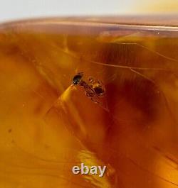 Natural Baltic AMBER Figure Statue Butterfly Many Inclusions Insects 30 g