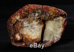 Natural Baltic AMBER Stone rough 619 gr. Bernstein #2662 EGG White BUTTERSCOTCH