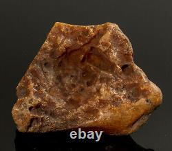 Natural Baltic AMBER Stone rough raw 60 gr Bernstein #444 EGG YOLK BUTTERSCOTCH