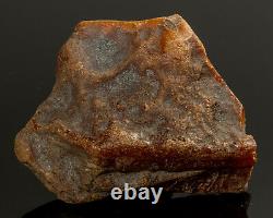 Natural Baltic AMBER Stone rough raw 60 gr Bernstein #444 EGG YOLK BUTTERSCOTCH