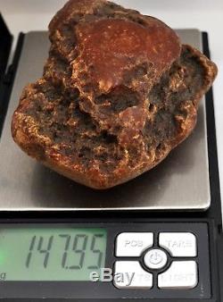 Natural Baltic Amber 147.95gr Egg Yolk Tiger Stone