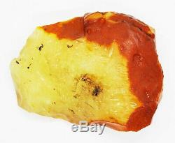 Natural Baltic Amber 69.77gr Real Egg Yolk Tiger Stone