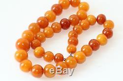 Natural Baltic Amber Beads 50.37