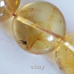 Natural Baltic Amber Islamic Prayer Beads Misbaha Tasbih Rosary 212g 21.5mm