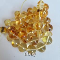 Natural Baltic Amber Islamic Prayer Beads Misbaha Tasbih Rosary 52g 33 beads