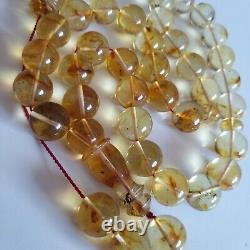 Natural Baltic Amber Islamic Prayer Beads Misbaha Tasbih Rosary 59g 13.6mm