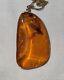 Natural Baltic Amber Loose Gemstone with insect preserved