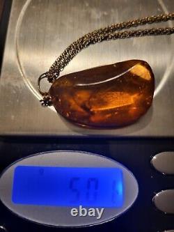 Natural Baltic Amber Loose Gemstone with insect preserved