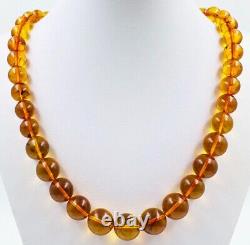 Natural Baltic Amber Necklace Amber Beads Necklace adult pressed