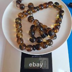 Natural Baltic Amber Prayer 33 Beads Misbaha Tasbih Rosary 60g